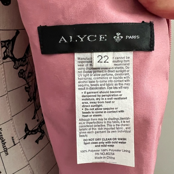 Alyse Paris Prom Bridesmaid Dress NWT - Picture 14 of 15